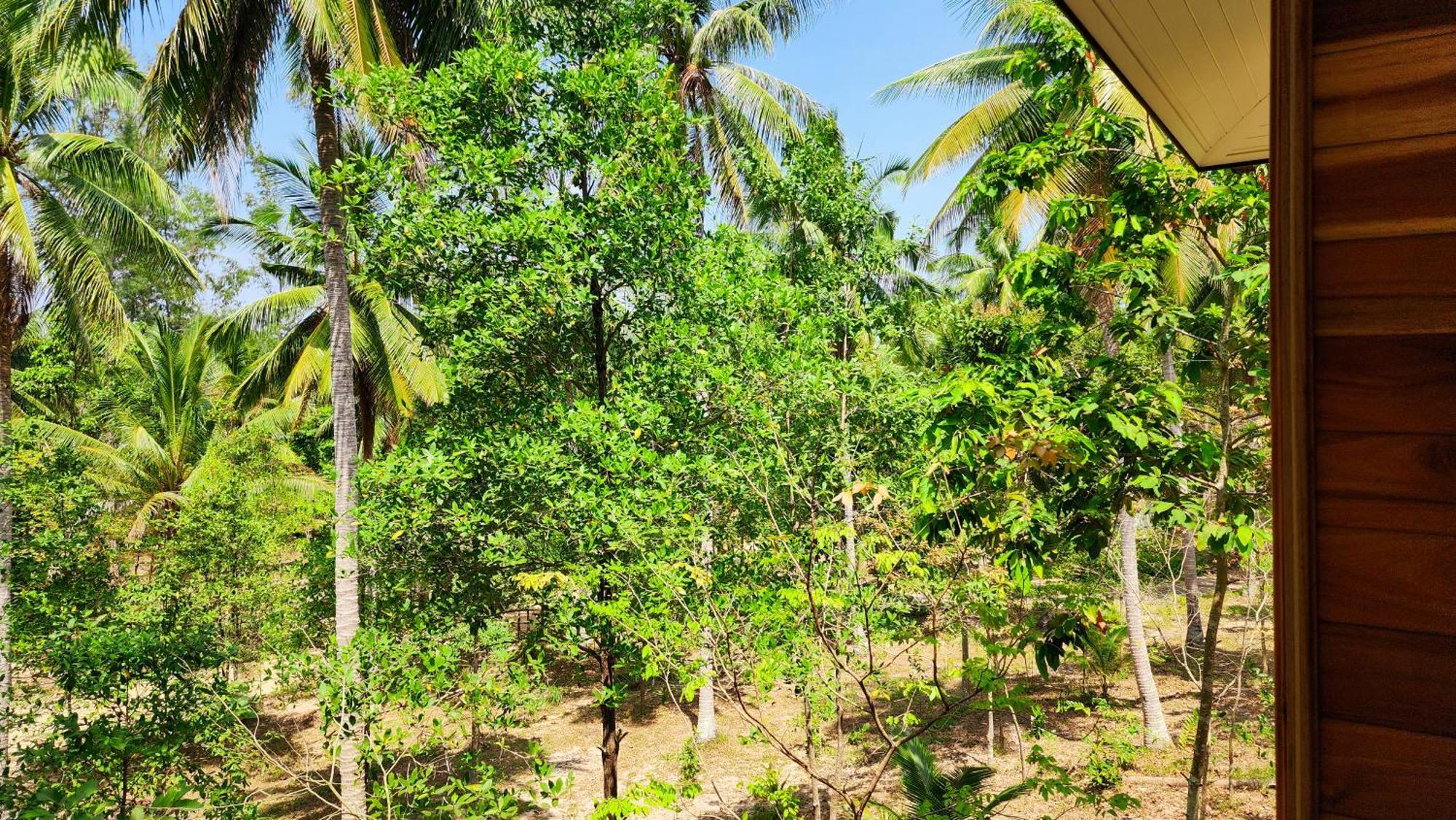 Chalet Baan Bhuwann Forest